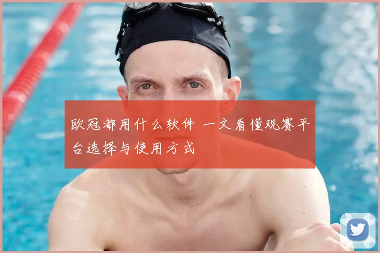 欧冠都用什么软件 一文看懂观赛平台选择与使用方式
