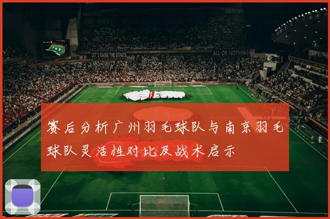 赛后分析广州羽毛球队与南京羽毛球队灵活性对比及战术启示