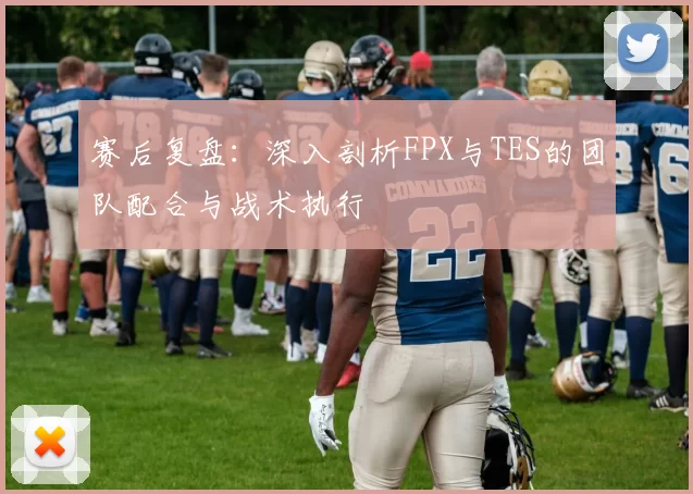 赛后复盘：深入剖析FPX与TES的团队配合与战术执行