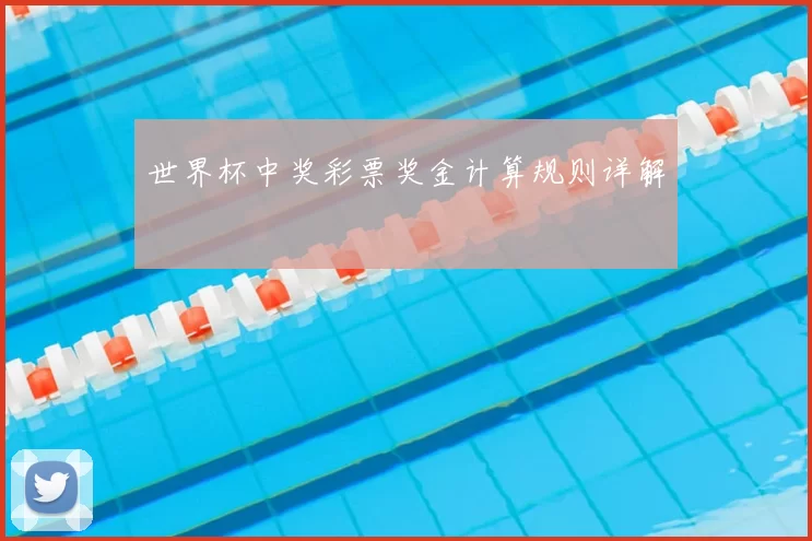 世界杯中奖彩票奖金计算规则详解
