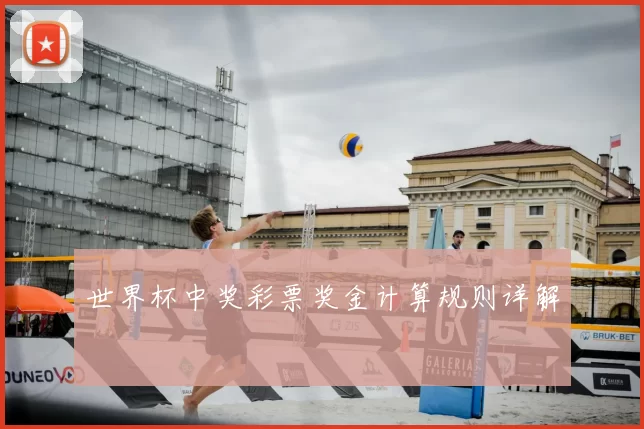 世界杯中奖彩票奖金计算规则详解