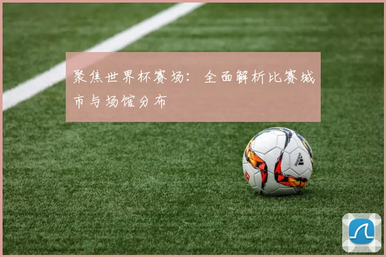 聚焦世界杯赛场:全面解析比赛城市与场馆分布
