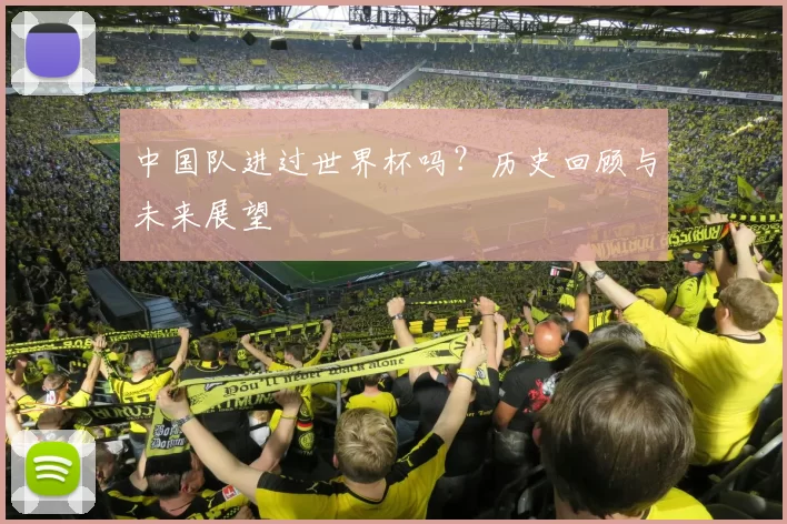 中国队进过世界杯吗?历史回顾与未来展望