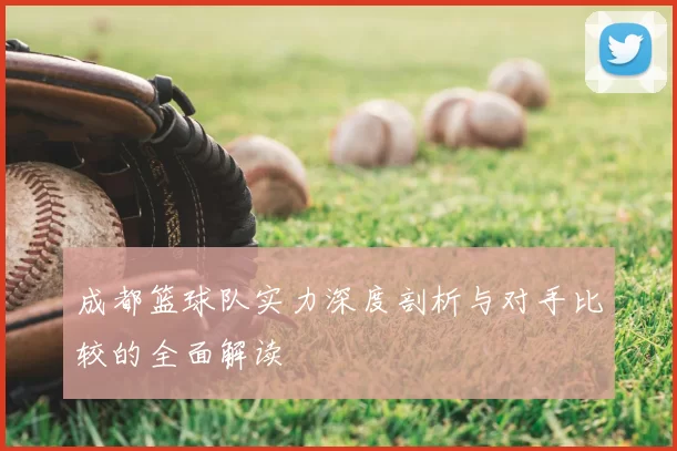 成都篮球队实力深度剖析与对手比较的全面解读