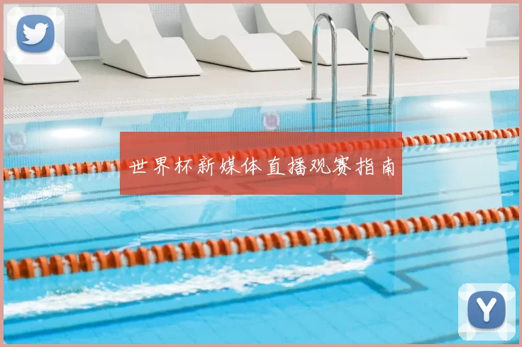 世界杯新媒体直播观赛指南
