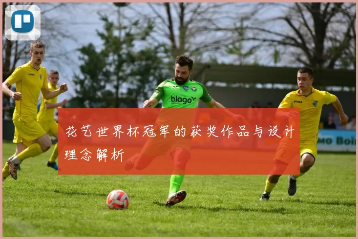 花艺世界杯冠军的获奖作品与设计理念解析